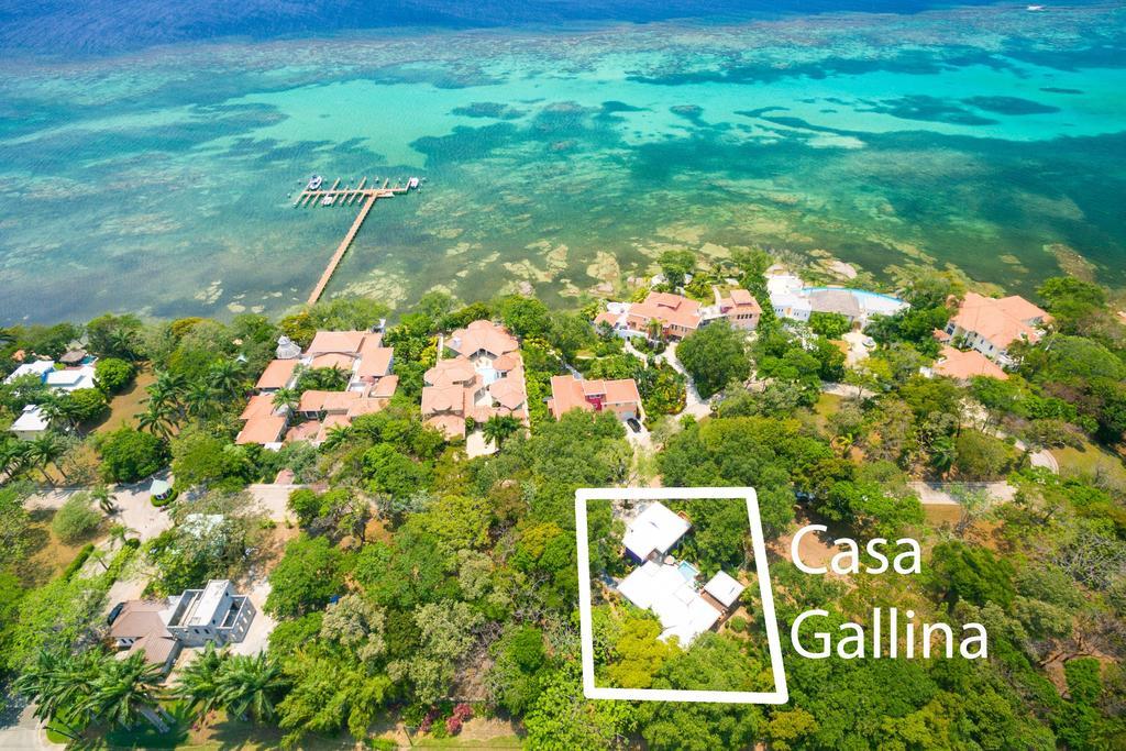 Casa Gallina Sandy Bay Dış mekan fotoğraf